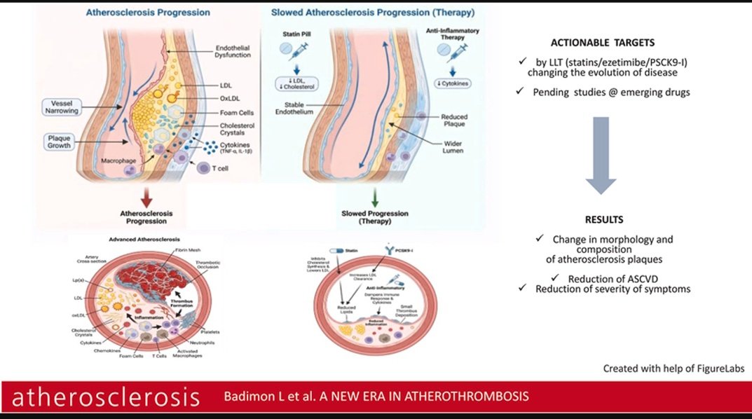 LipidoSEEN tweet media