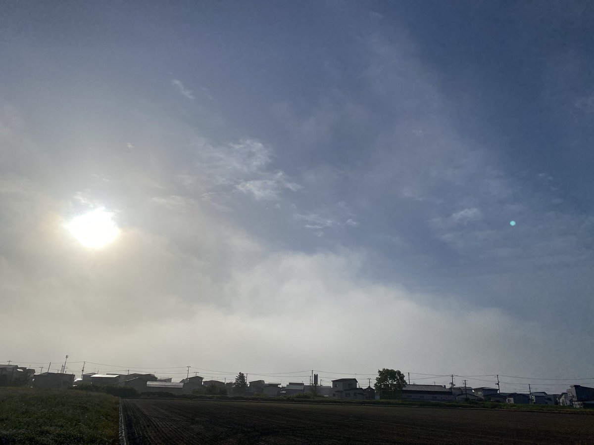 tomo_kosodate's tweet photo. 早朝散歩でフレッシュに☀️
爽快な気分のまま、これからお客様の見守り2件です💪
朝のオンライン自習室スタート！！📚
#オンライン自習室　#朝の空　#ココナラ https://t.co/atqRbatGAZ
