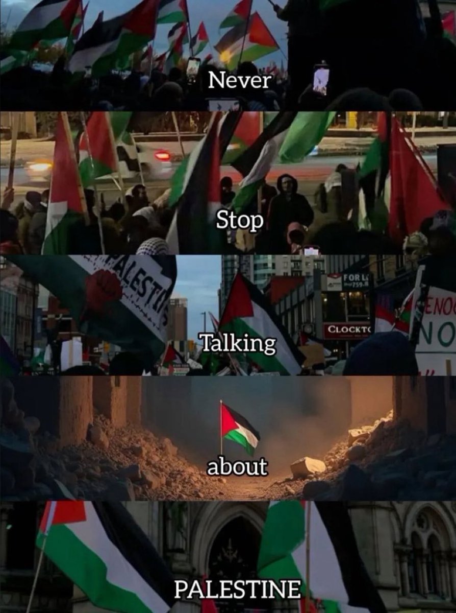 Moataz from Gaza tweet media