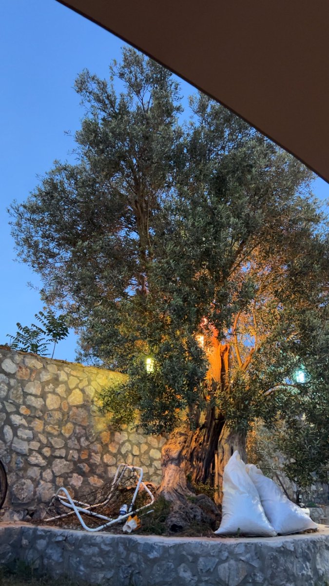 umutelbasann's tweet photo. arama arama terapideyim https://t.co/mdbSUQIhow
