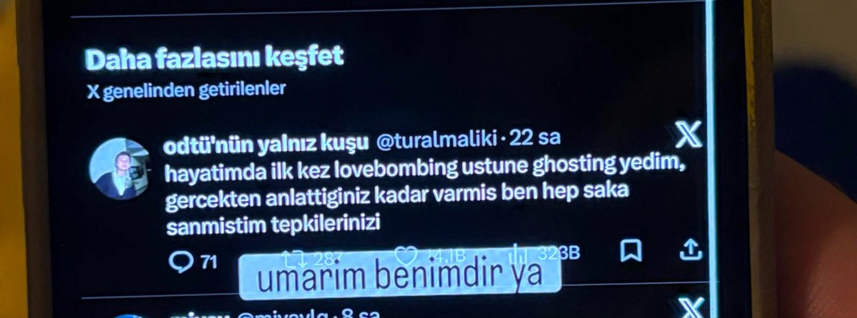 odtü'nün yalnız kuşu tweet media