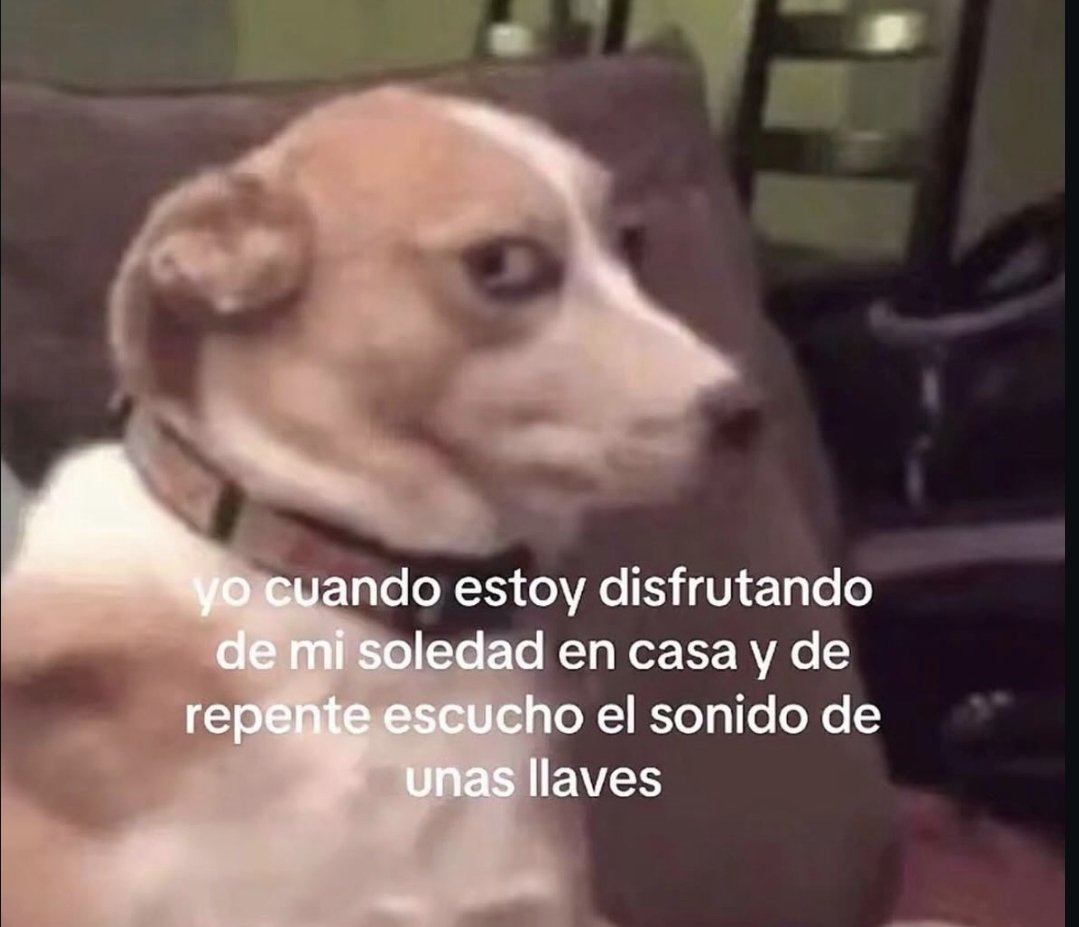 navarro tweet media