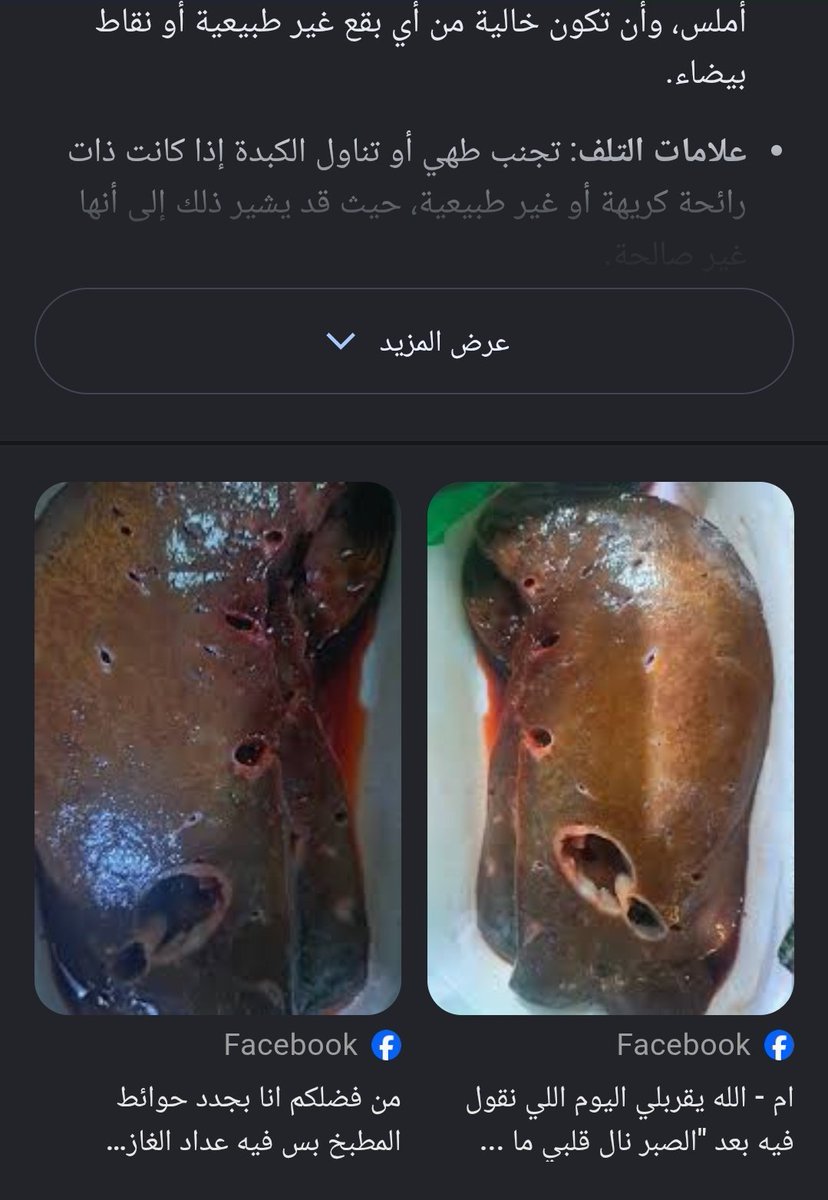 ⚖️🇸🇦✪Asmahan tweet media