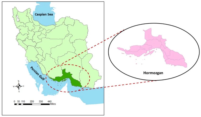 BeamTracker tweet media