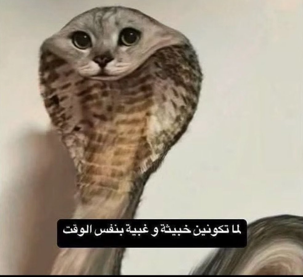 توني توني تشوبر tweet media