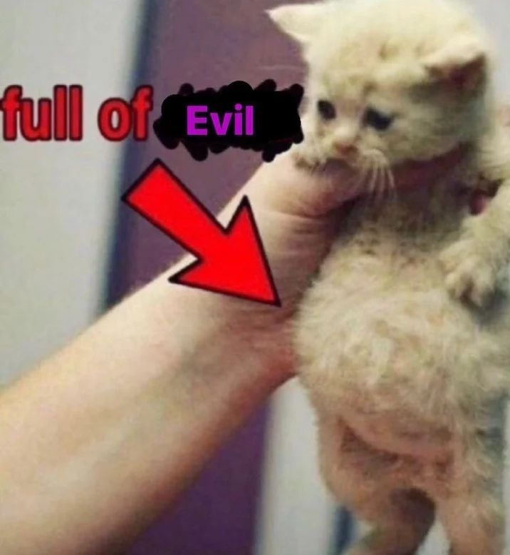 Punch Cat tweet media