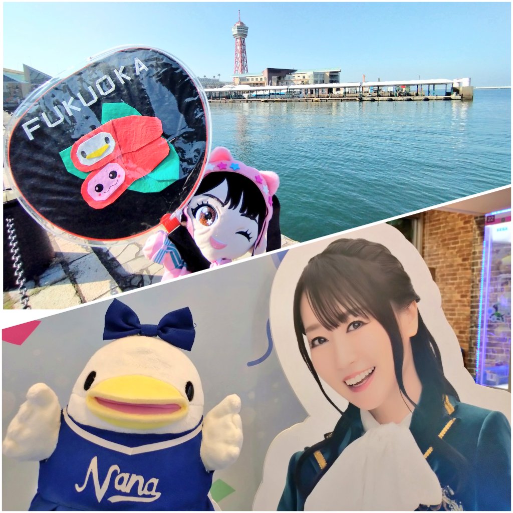 コロリー@NMLV無事終了!次はLIVE GRACE Ⅳ tweet media