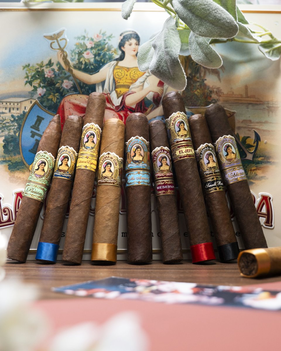 Ashtoncigar's tweet photo. Mama leaf watching over her legacy 🔱 https://t.co/AZAflJc3hl