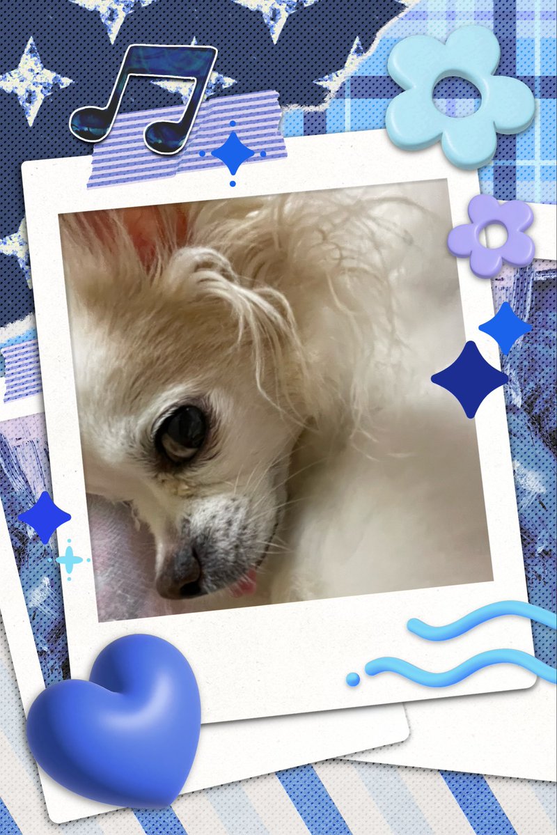 いこま໒꒱·̩͙⋆.*･ﾟ tweet media