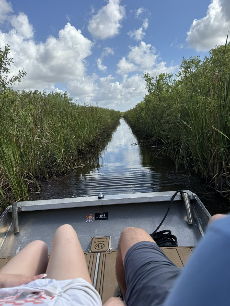 ian693's tweet photo. Get busy living…….

#Fishing #Everglades #Airboat https://t.co/Z4KTzvjNDn