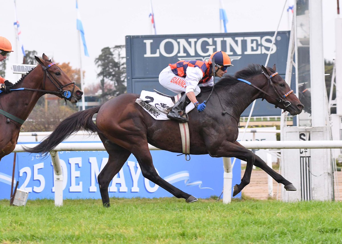 HipSanIsidro's tweet photo. ✅ En el @HipSanIsidro se disputó el #GPGranCriterium (G1-1600m), donde se impuso #RoiDuMonde (2 años, Treasure Beach), del #StudRDI, entrenado por #AlfredoGaitánDassie y dirigido por #AdriánGiannetti. https://t.co/wX0VGdOmyR