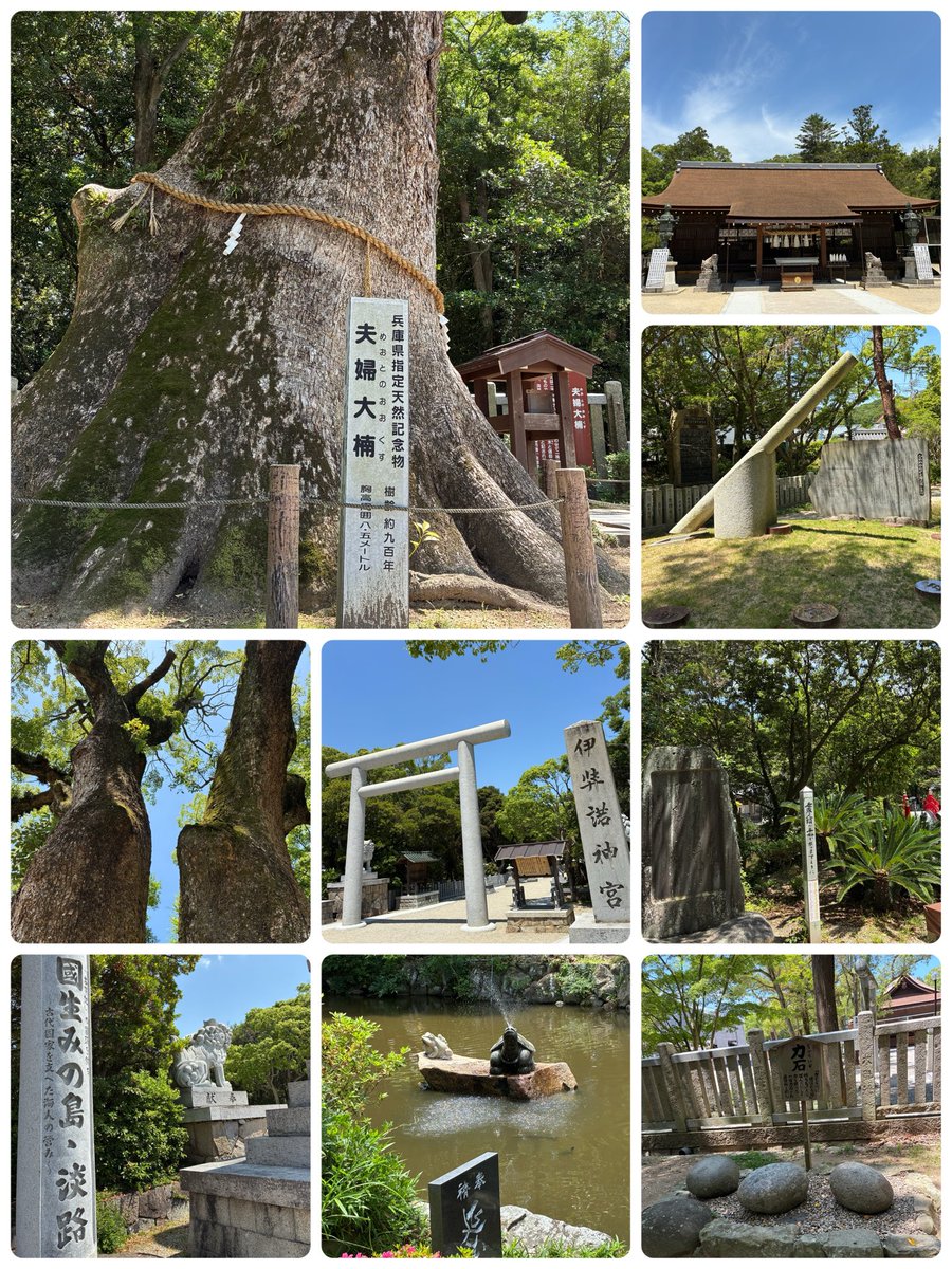 ふぁんた tweet media