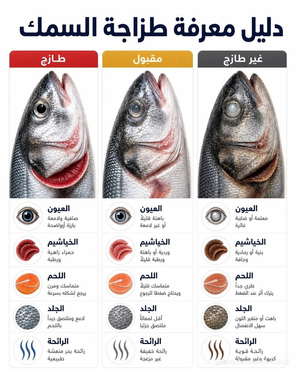 معلومات تفيد ®️ tweet media