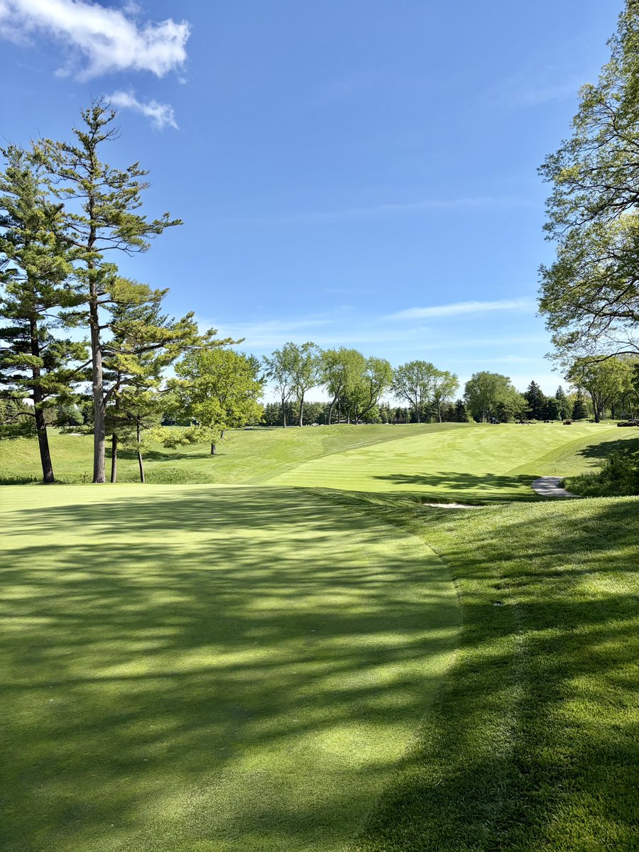 LHCC Grounds tweet media