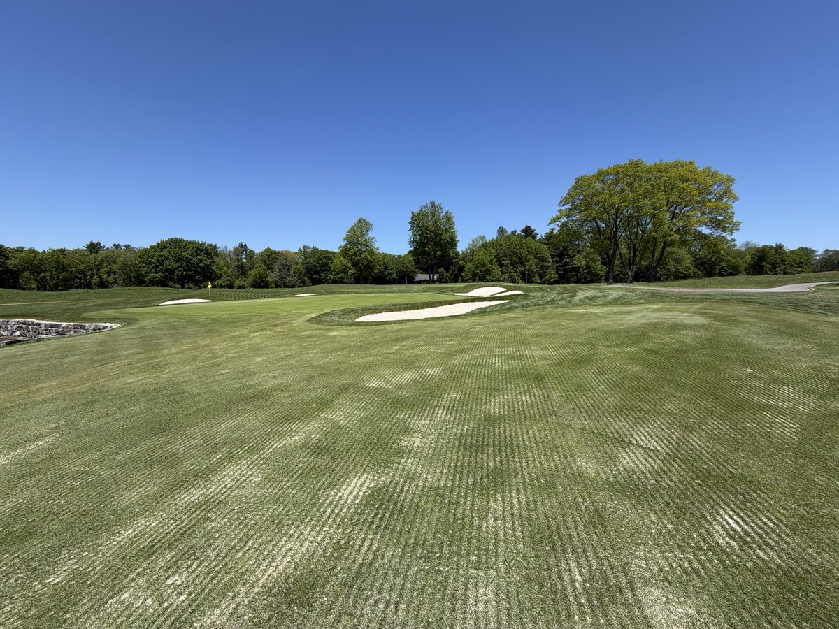 LHCC Grounds tweet media