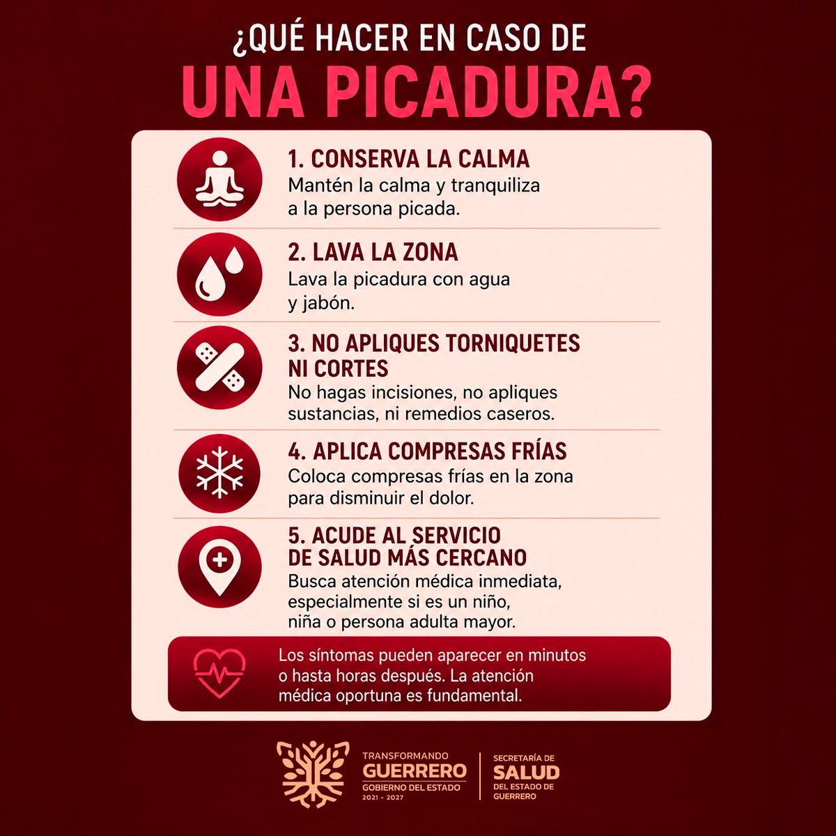 Salud Guerrero tweet media