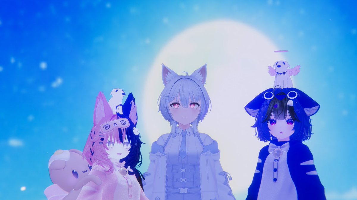 Cotton_VRC tweet media
