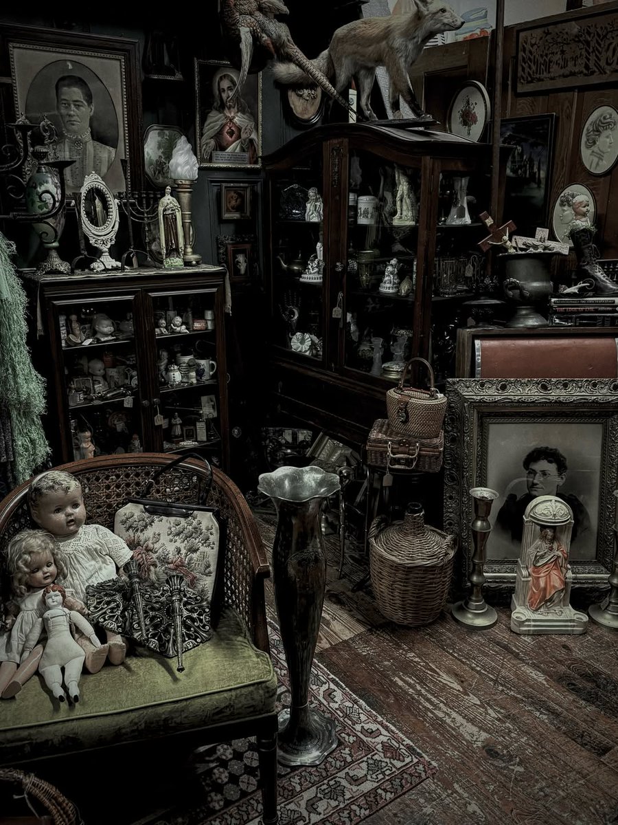veilofcoffins's tweet photo. Antiques | Oddities &amp; curiosities

— thehallowedveil https://t.co/efjRMgxpjE
