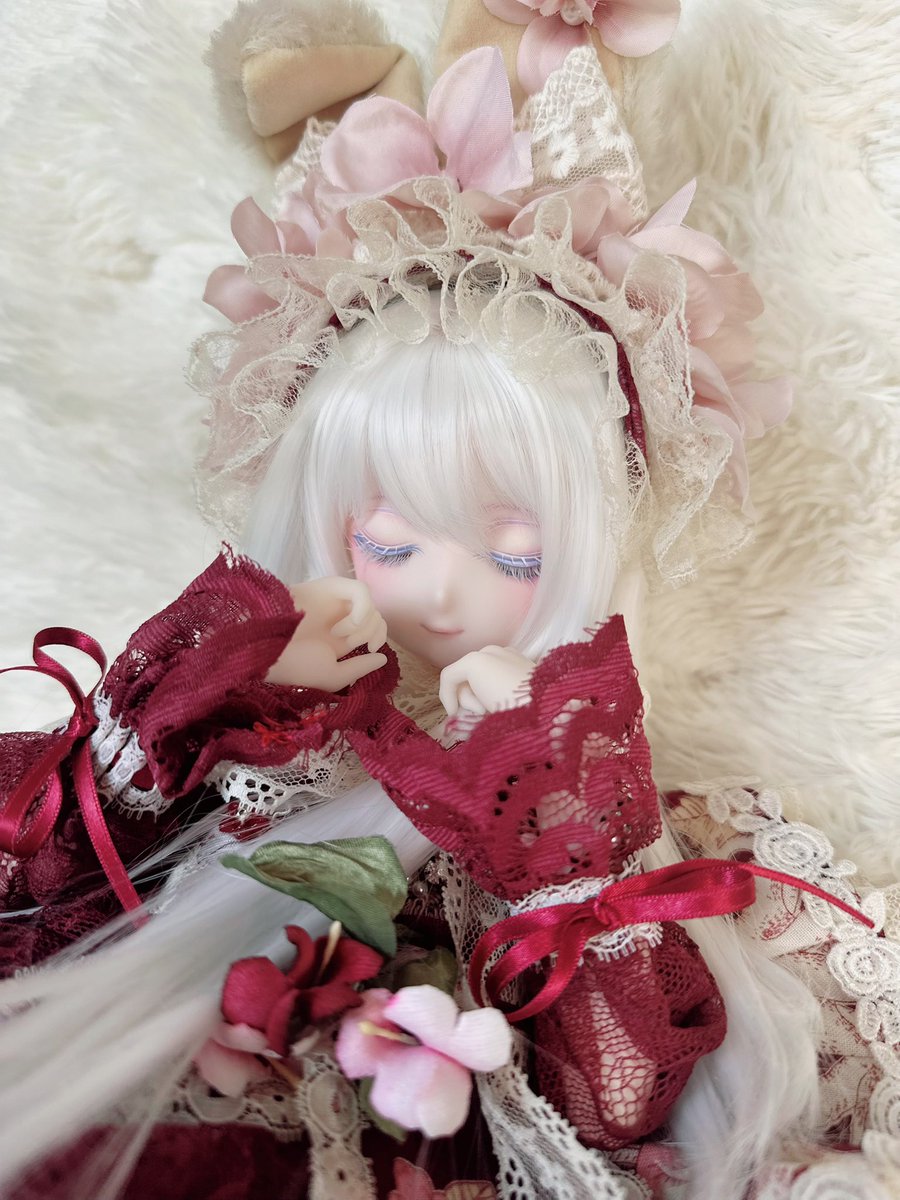 Ri56712's tweet photo. 32番ちゃんです🥰🫶
素敵なオーナー様とのご縁をお待ちしております(՞⸝⸝ᵒ̴̶̷᷄꒳ᵒ̴̶̷᷅⸝⸝՞)💕

 #くろまめっ子
  #kome瞳
  #なにぬねこもの

https://t.co/BbiXDC5M1o https://t.co/UcCmZ7OAr0