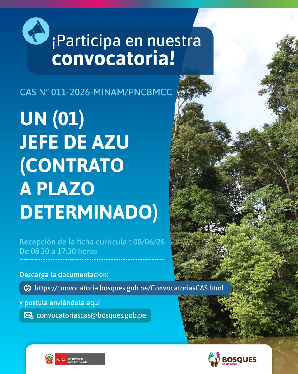 ProgramaBosques's tweet photo. 📣Convocatoria de:

✅Un (01) Jefe de AZU (Contrato a plazo determinado). CONVOCATORIA CAS N° 011-2026-MINAM/PNCBMCC

¡Revisa los términos de referencia aquí!: https://t.co/XrPnDSq42m

Postula enviando la documentación aquí:
convocatoriascas@bosques.gob.pe https://t.co/lLUmdGn6Mg