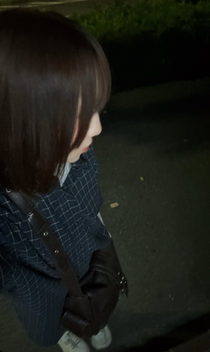 つきのわぐま🧸🌙 tweet media