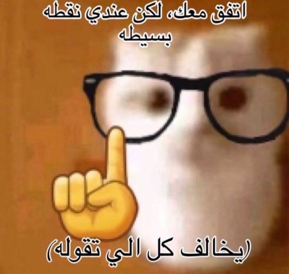 ☄️ tweet media
