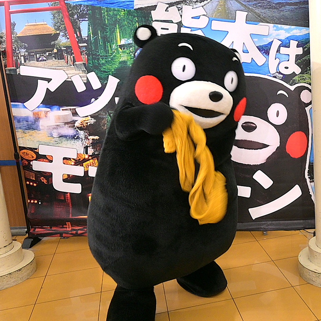 Post by Masashi Taniguchi on X: おはくまです。