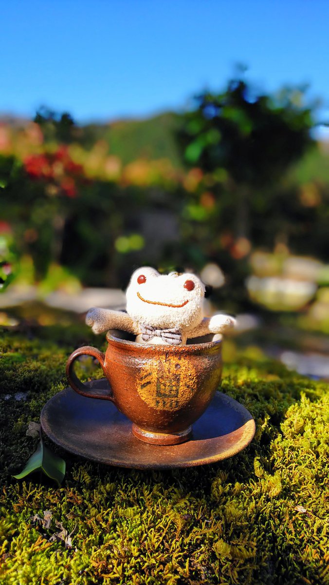 🎏🐸カエル🐸🎏 tweet media