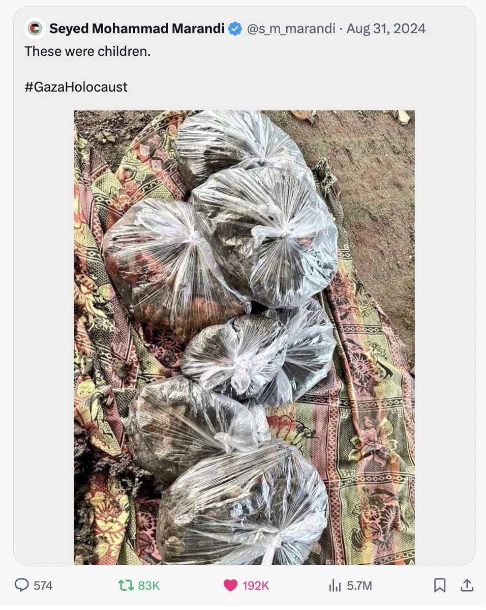 evasmagacz tweet media