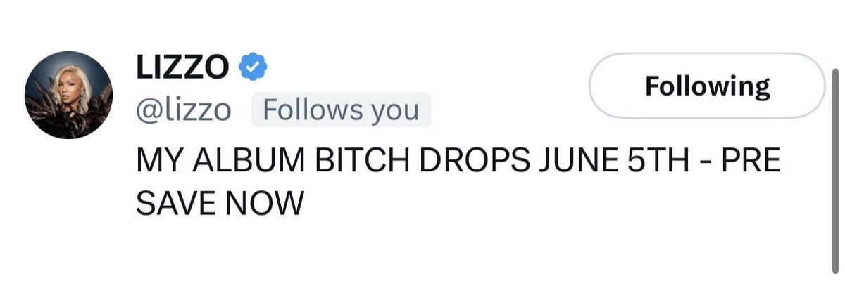 Lizzo’s Capri-Sun 🧃 tweet media