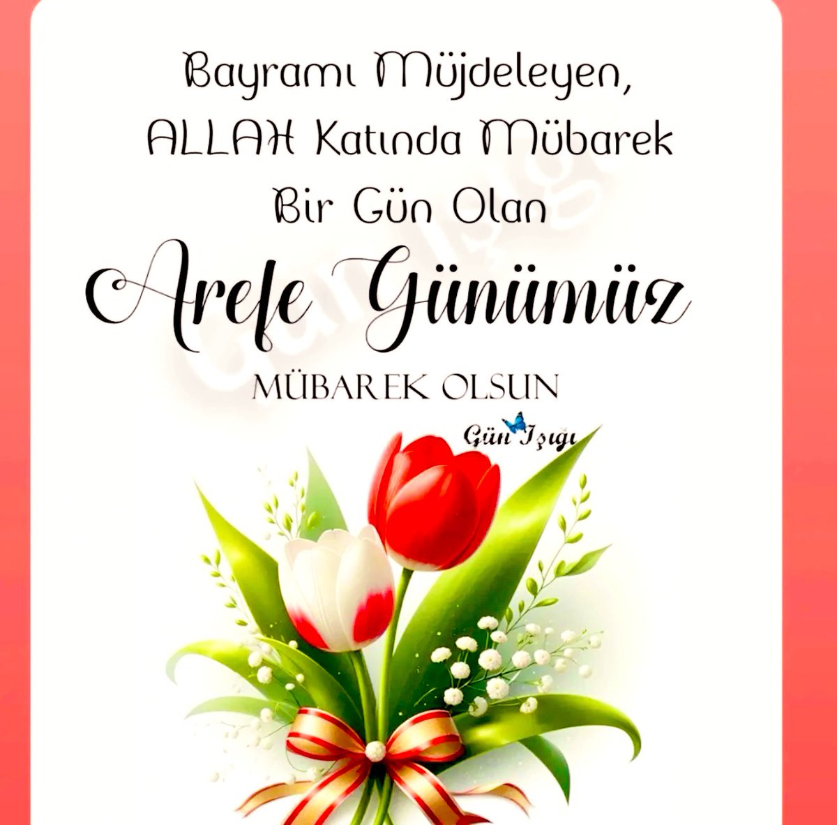 Mehmet Nuri ALİM tweet media