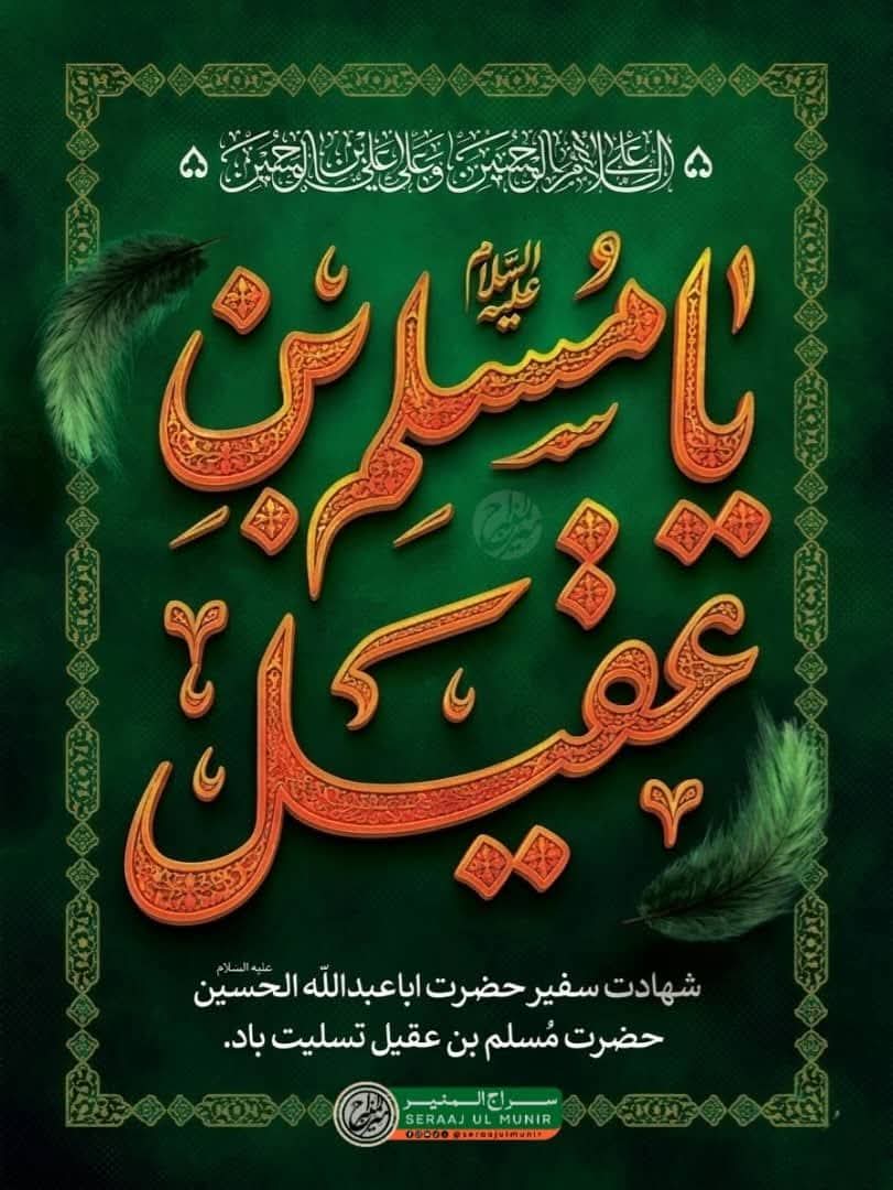 Dimah Zehra tweet media