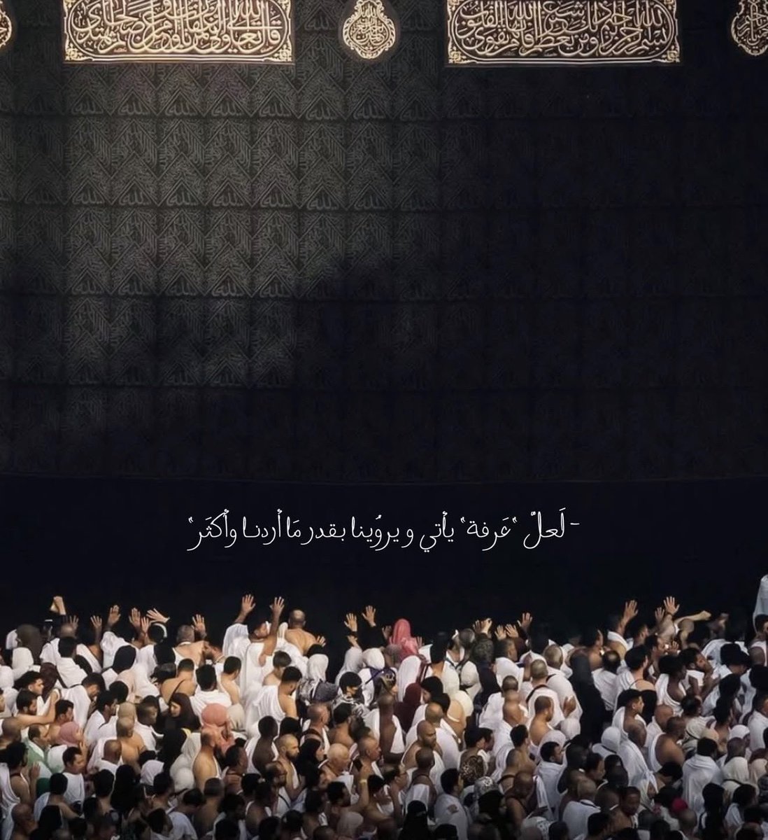 SAUDI POPULAR tweet media