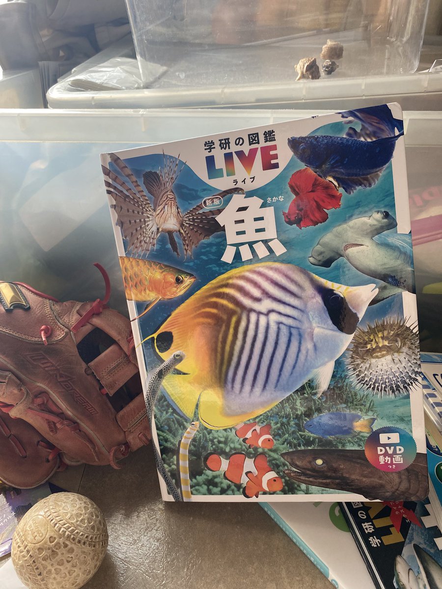 ダーヤス.com tweet media