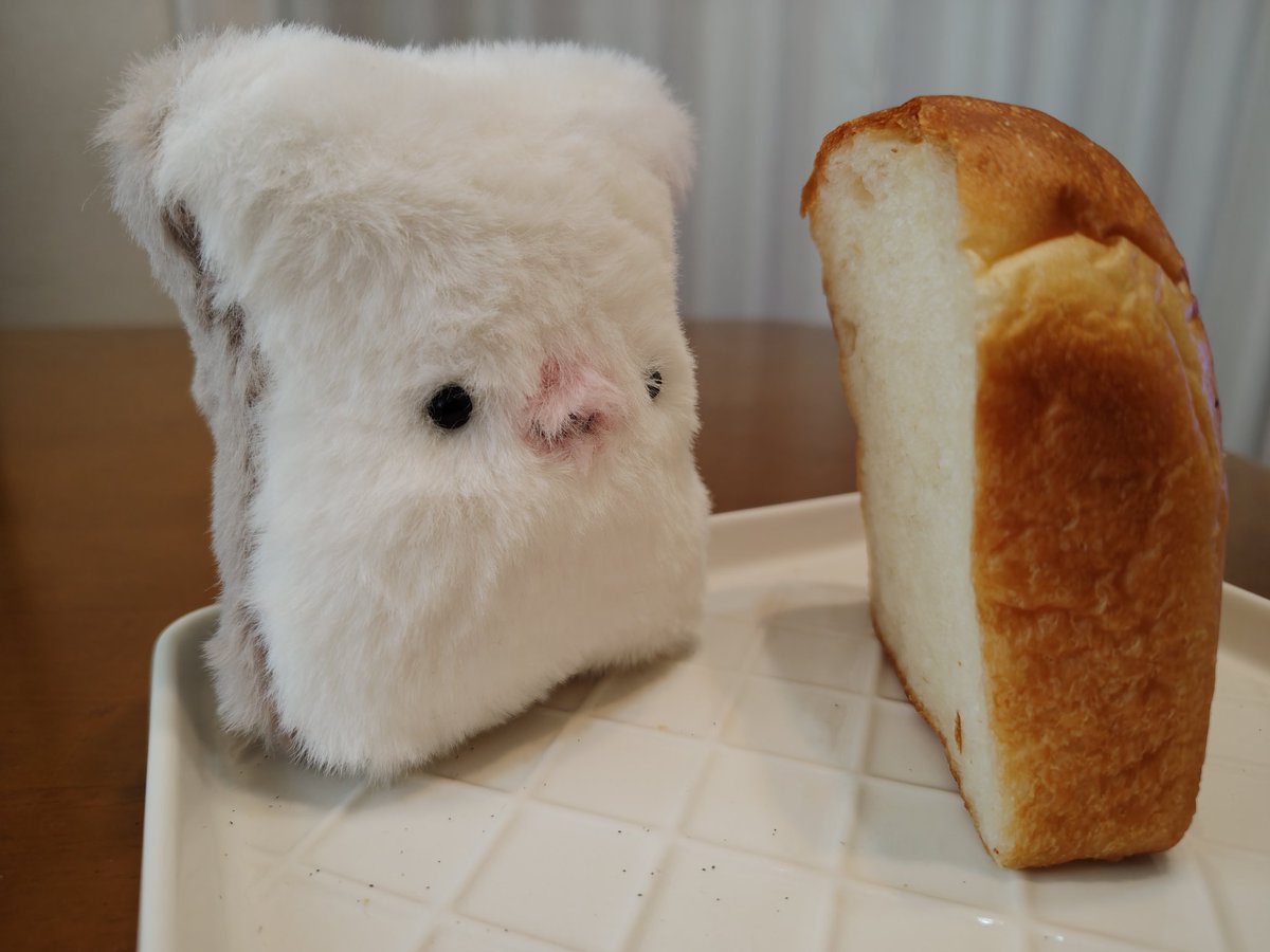 himachelon's tweet photo. あーさごーはん　あさごはん

＃モウジュウガイ https://t.co/deZ3zsqEUt
