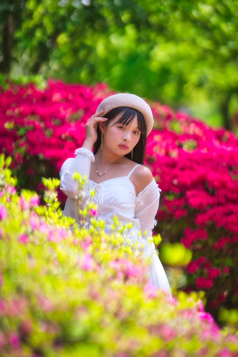 ゆいの あすか🕊🌸 tweet media