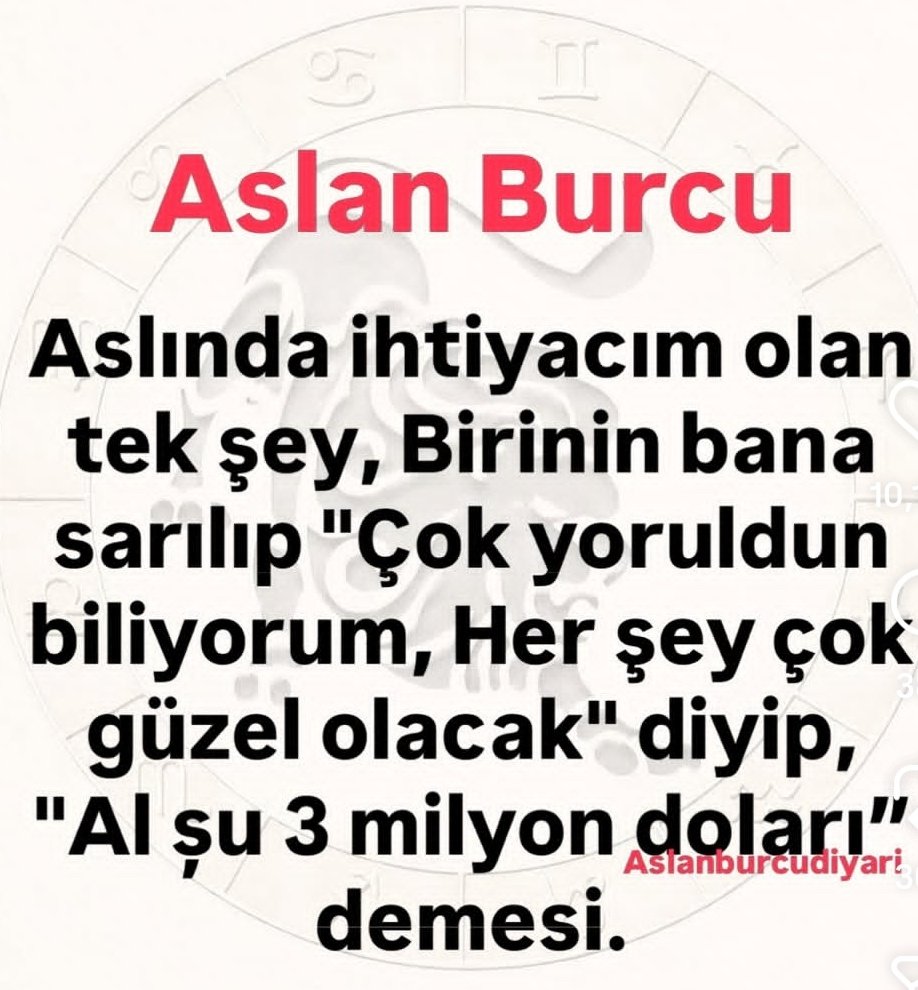 Kurtkatun Arzu Ayyıldız tweet media