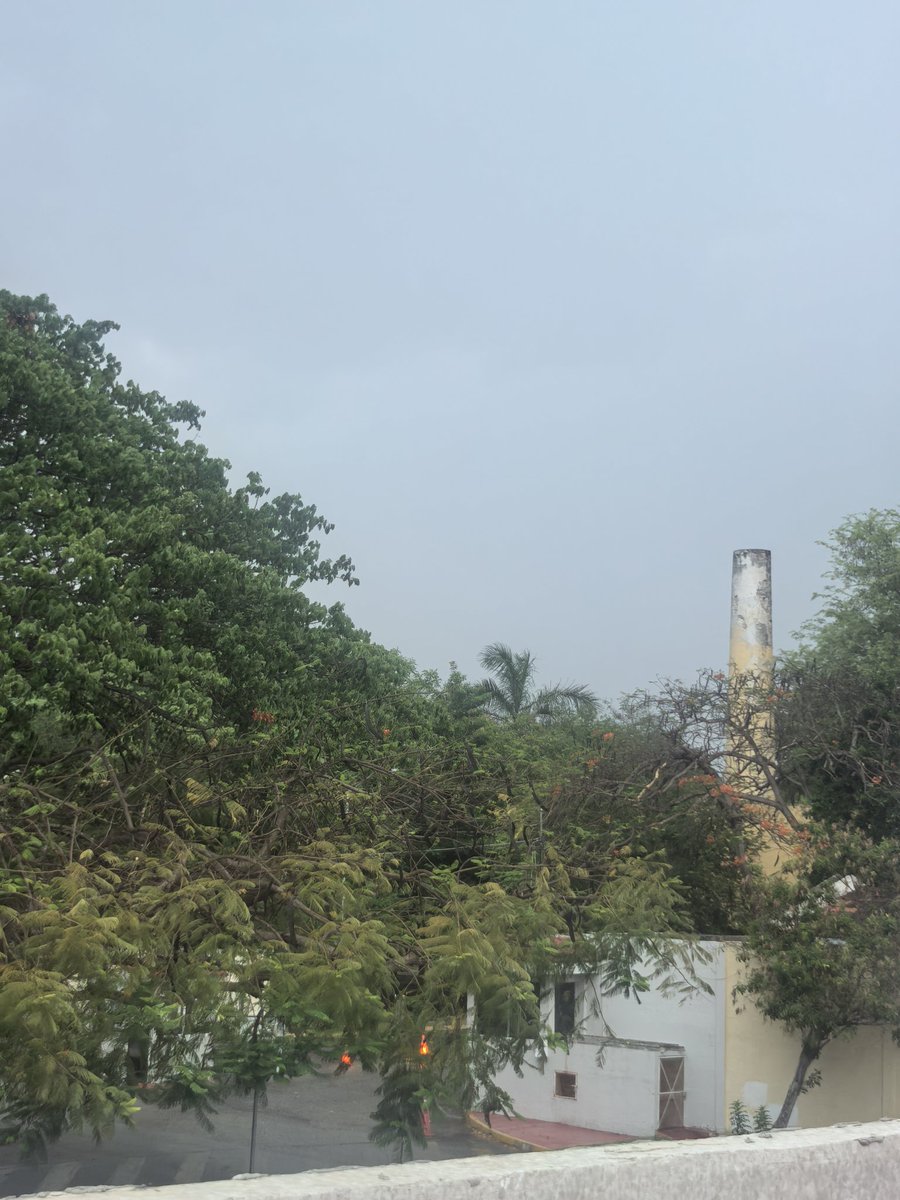 DanielCanoM's tweet photo. @ClimaYucatan en fracc Xcumpich todo muy oscuro y mucho aire, pero Wishada de tortolita, muy poca agua. https://t.co/ueh93P3iI5