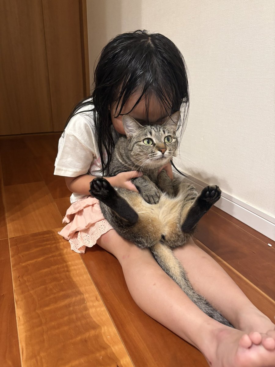 すずつむふう【我が家の可愛い猫’s】 tweet media