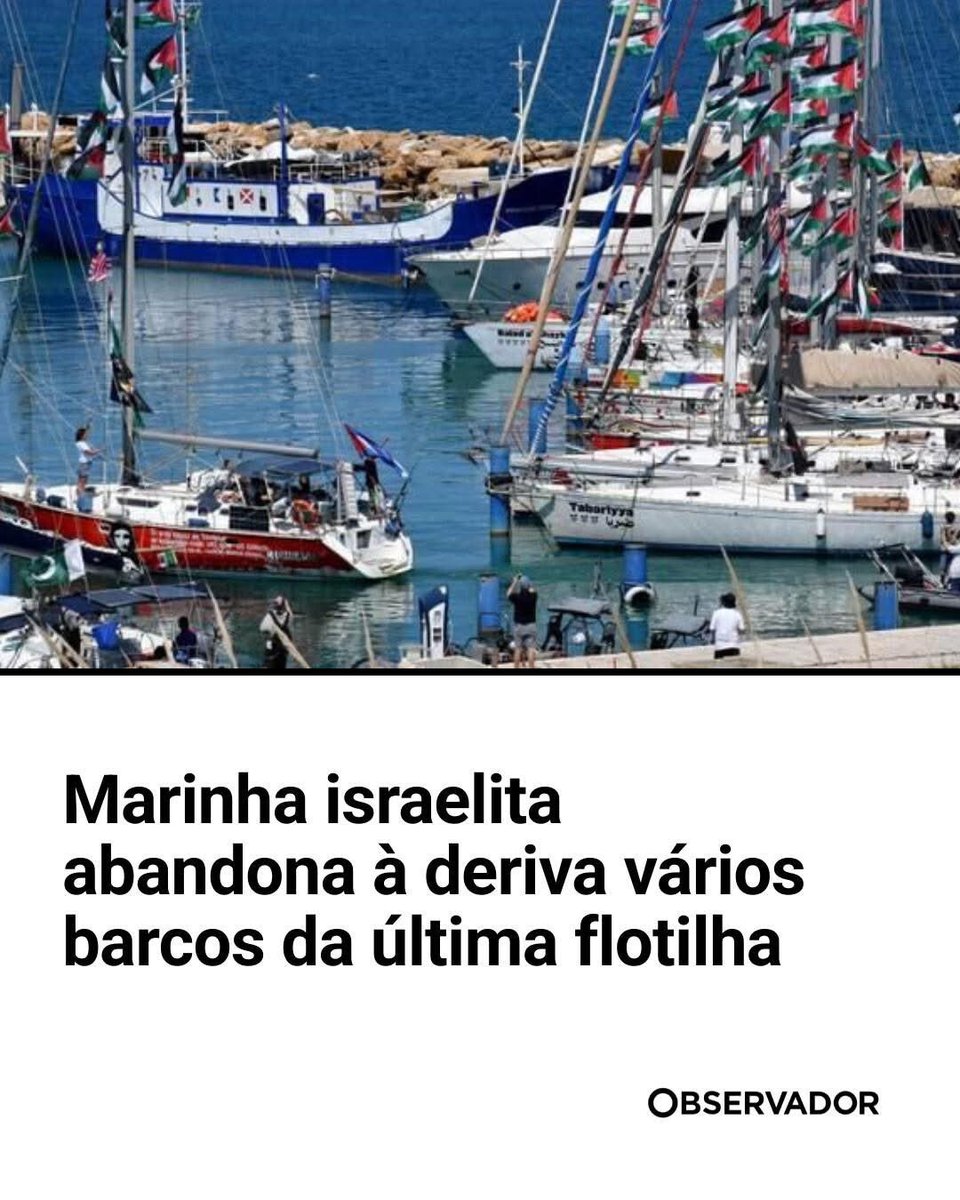 Maria Augusta Vieira tweet media
