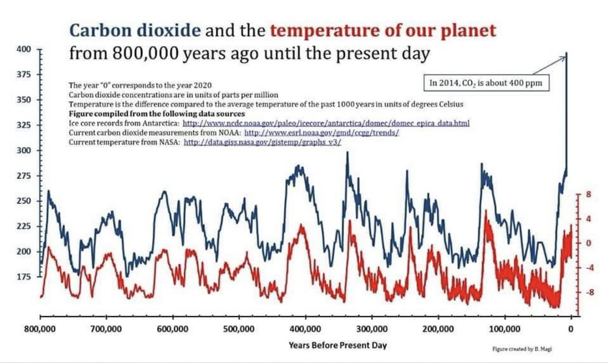 Matthew Todd 🌏🔥 tweet media