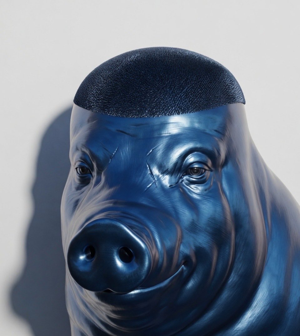 HowlingWiggerPig 🇺🇸 tweet media