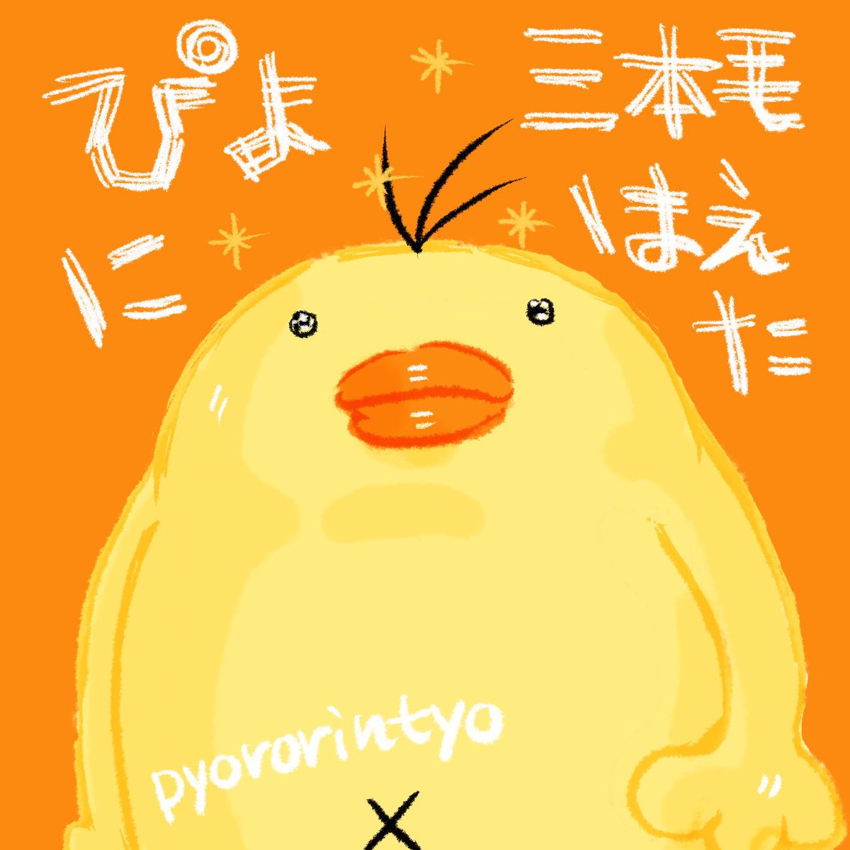 ひよこ人間ぴよ tweet media