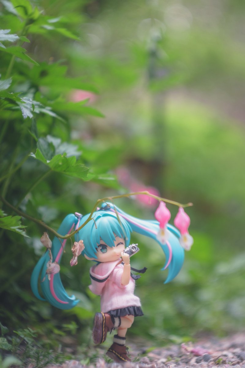 たかぴ tweet media