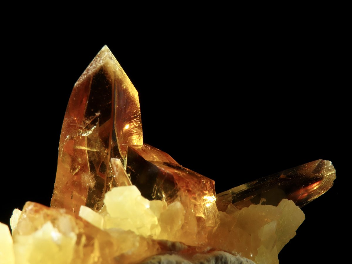 Oiseau Minerals（わぞみねらるず） tweet media