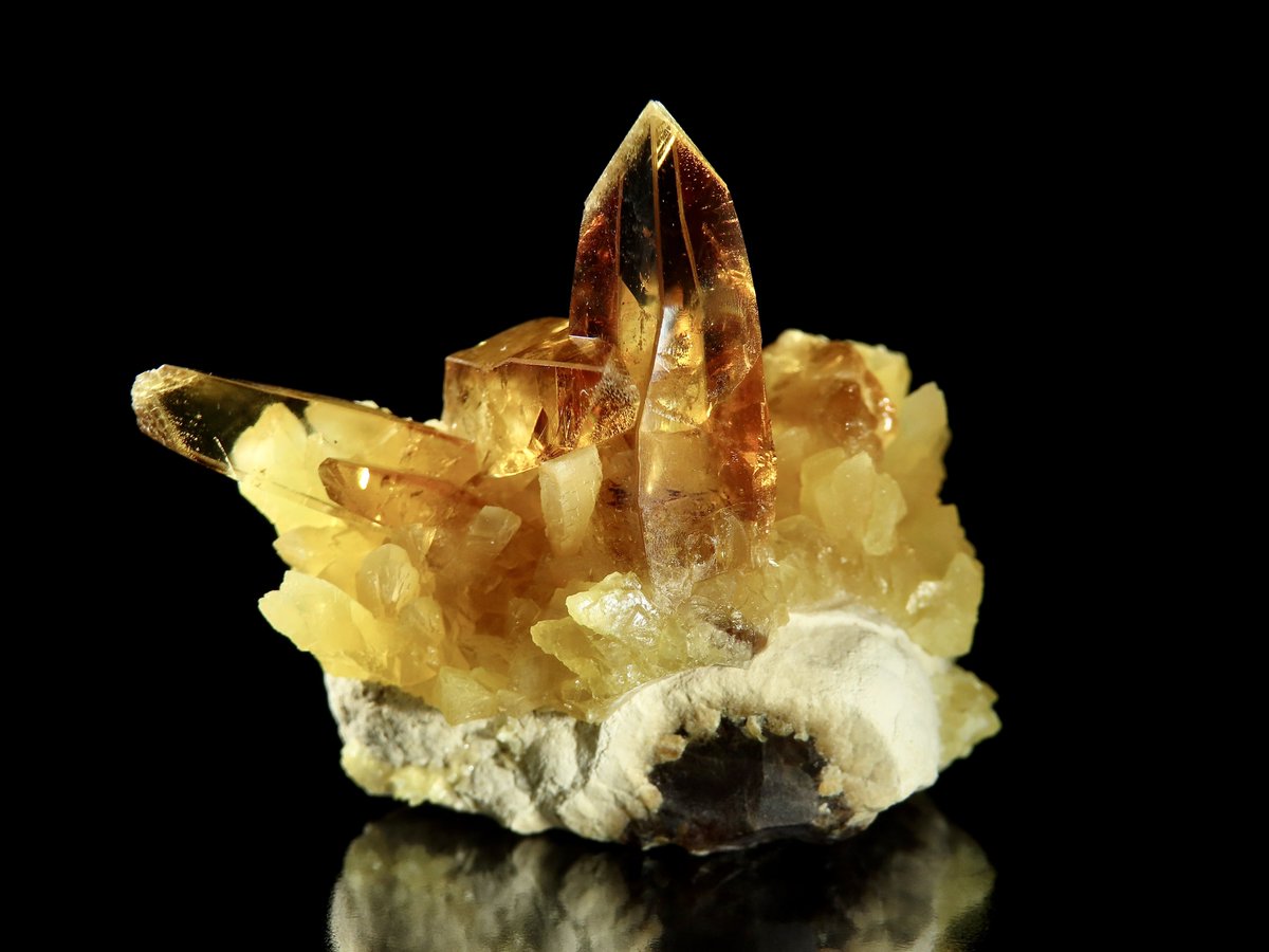 Oiseau Minerals（わぞみねらるず） tweet media