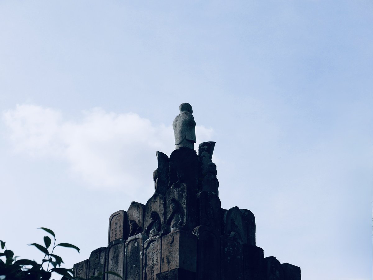 𝘀𝗵𝘆𝗻. tweet media