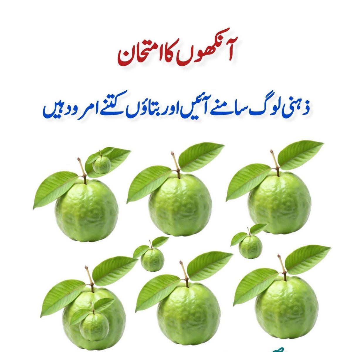 Hania Batool tweet media