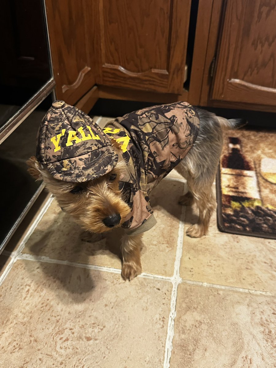 combs_neff's tweet photo. Love the new pet line from @KaceyMusgraves   Think he ready for hunting season 🤪❤️ wonder if you guys think bout his Halloween costume? He hunting wabbits 🐇 https://t.co/p2Wq6mR5fx