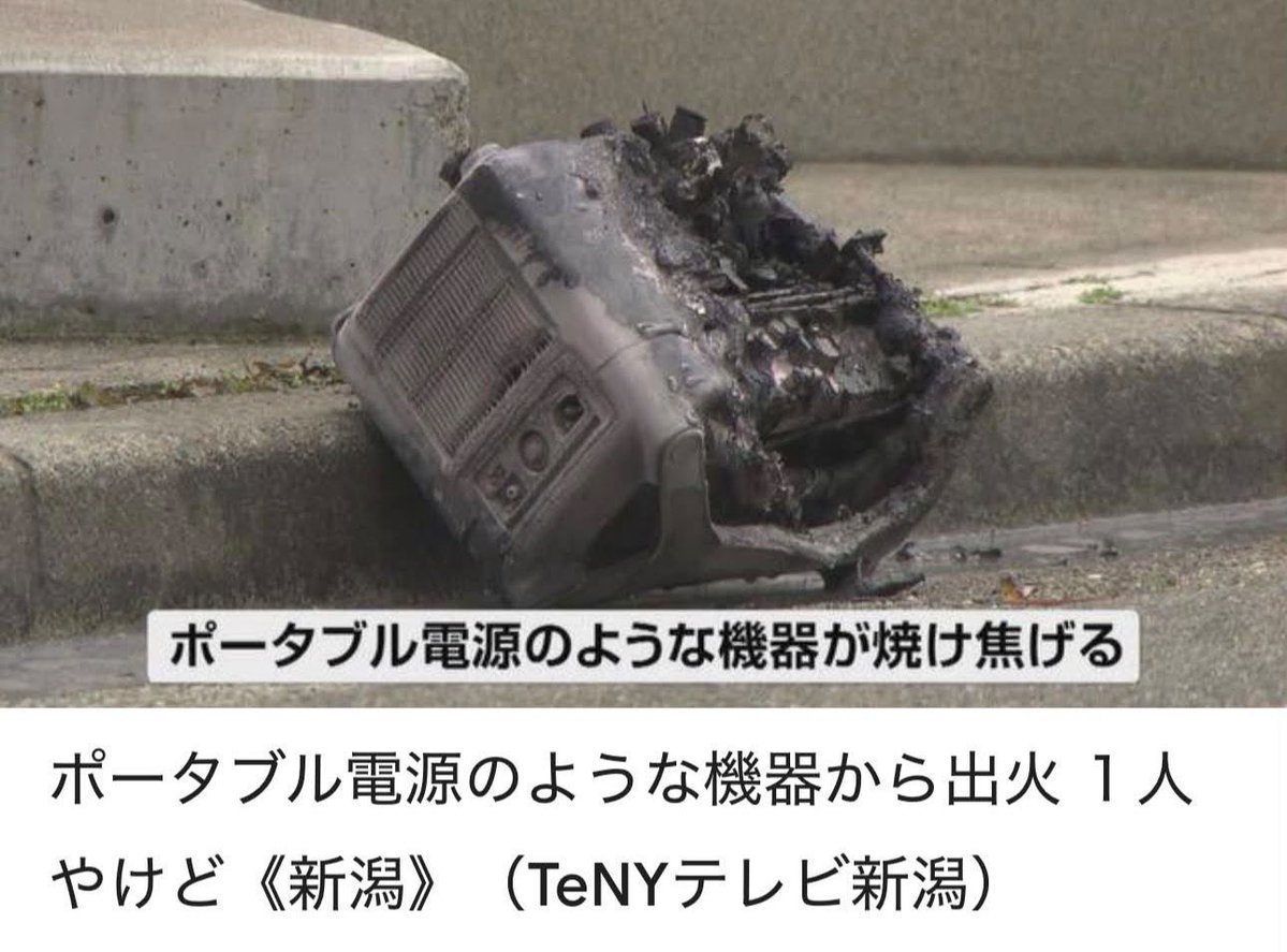 lazysage(Sei.Kaku) tweet media